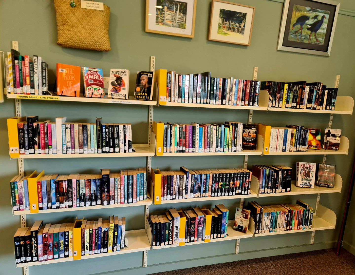 Series Library Catalogue
